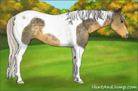 Horse Color:Silver Smoky Blue Roan Tobiano 
