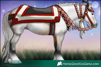 Horse Color:Gray Buckskin 