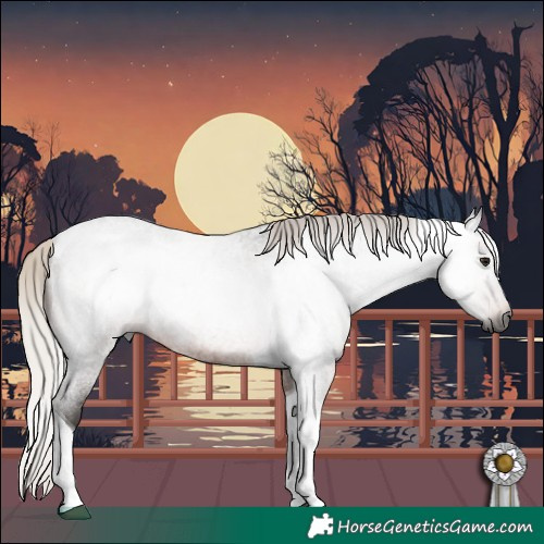 Horse Color:Gray Silver Brown Roan Tobiano 