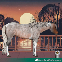 Horse Color:Gray Silver Brown Roan Tobiano 