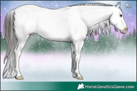 Horse Color:Liver Red Dun Near Leopard 