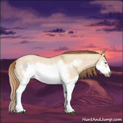 Horse Color:Red Dun Roan Splash Frame Rabicano