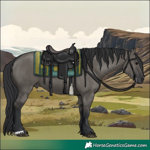 Horse Color:Grullo 