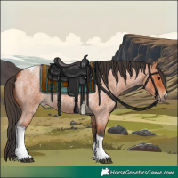 Horse Color:Bay Roan Tobiano Frame 