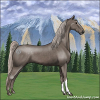Horse Color:Silver Black 