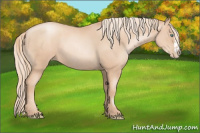 Horse Color:Gold Champagne Pearl Rabicano  and Gold Champagne Pearl Splash Rabicano 