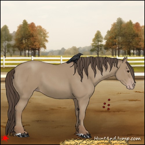 Horse Color:Classic Champagne 