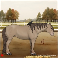 Horse Color:Classic Champagne 