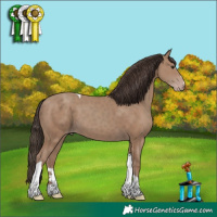 Horse Color:Classic Champagne Tobiano