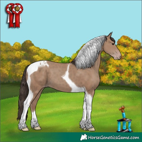 Horse Color:Classic Champagne Tobiano 
