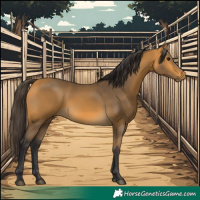 Horse Color:Buckskin 