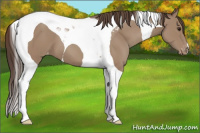 Horse Color:Classic Champagne Tobiano Varnish