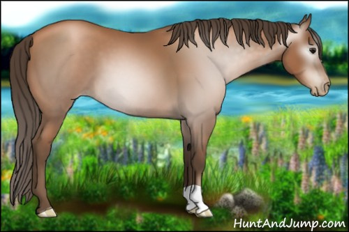 Horse Color:Gray Black Pearl 