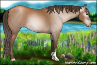 Horse Color:Gray Black Pearl