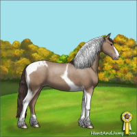 Horse Color:Classic Champagne Tobiano 