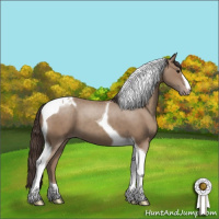 Horse Color:Classic Champagne Tobiano