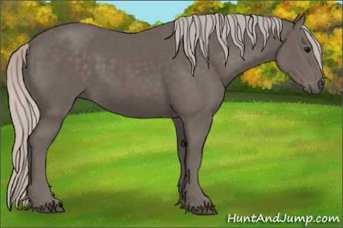 Horse Color:Silver Black 