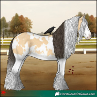 Horse Color:White Spotted Buckskin Dun Splash 
