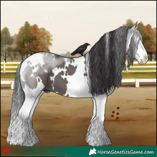 Horse Color:White Spotted Smoky Grullo Splash 