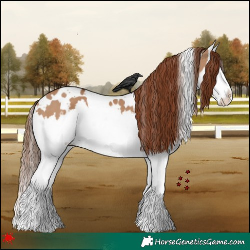 Horse Color:White Spotted Red Dun Splash 