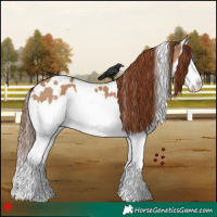 Horse Color:White Spotted Red Dun Splash 