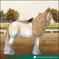 Horse Color:White Spotted Buckskin Pearl 