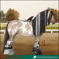 Horse Color:White Spotted Bay Dun