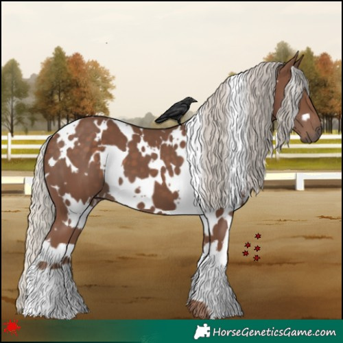 Horse Color:White Spotted Silver Black 