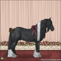 Horse Color:Black Tobiano
