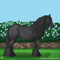 Horse Color:Blue Roan 
