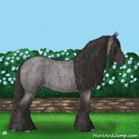 Horse Color:Smoky Blue Roan