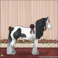 Horse Color:Black Splash Tobiano 