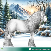 Horse Color:Gray Black Splash