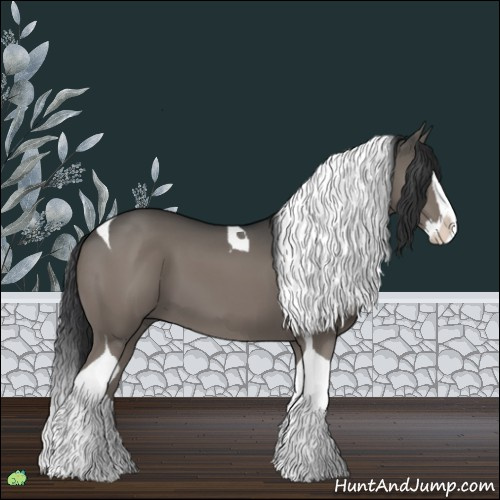 Horse Color:Grullo Splash Tobiano 