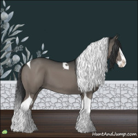 Horse Color:Grullo Splash Tobiano