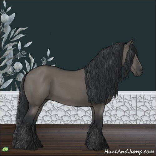 Horse Color:Grullo 