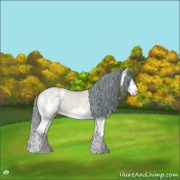 Horse Color:Watercolor White Spotted Amber Champagne Dun Splash 