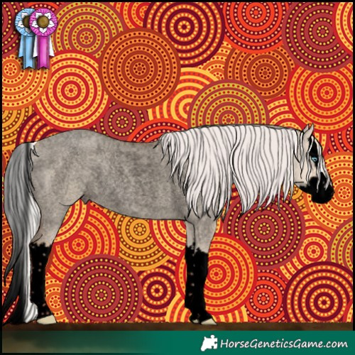 Horse Color:Void Silver Classic Champagne Roan Dun Splash Rabicano 