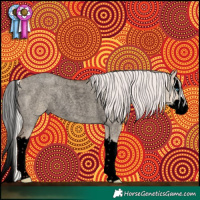 Horse Color:Void Silver Classic Champagne Roan Dun Splash Rabicano 