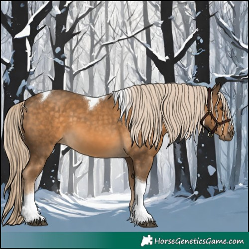 Horse Color:Chocolate Palomino Tobiano 