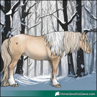 Horse Color:Chocolate Palomino Pearl Dun Tobiano 