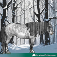 Horse Color:White Spotted Black Splash Tobiano Frame  and Blue Roan Splash Frame 