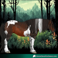 Horse Color:Gray Bay Tobiano