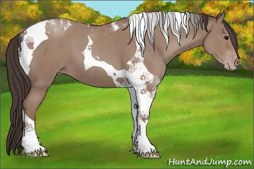 Horse Color:Classic Champagne Tobiano 