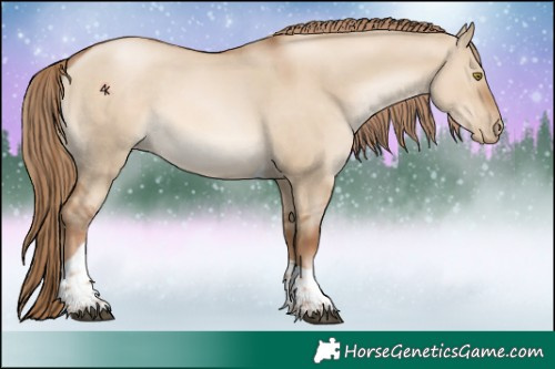 Horse Color:Liver Red Dun Pearl Tobiano