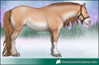 Horse Color:Bay Pearl Splash Tobiano 