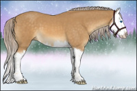 Horse Color:Palomino Roan Splash 