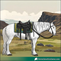 Horse Color:Gray Buckskin Tobiano Appaloosa