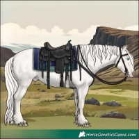 Horse Color:Cremello Roan Dun 