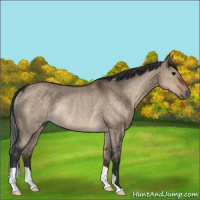 Horse Color:Brown Dun Rabicano 